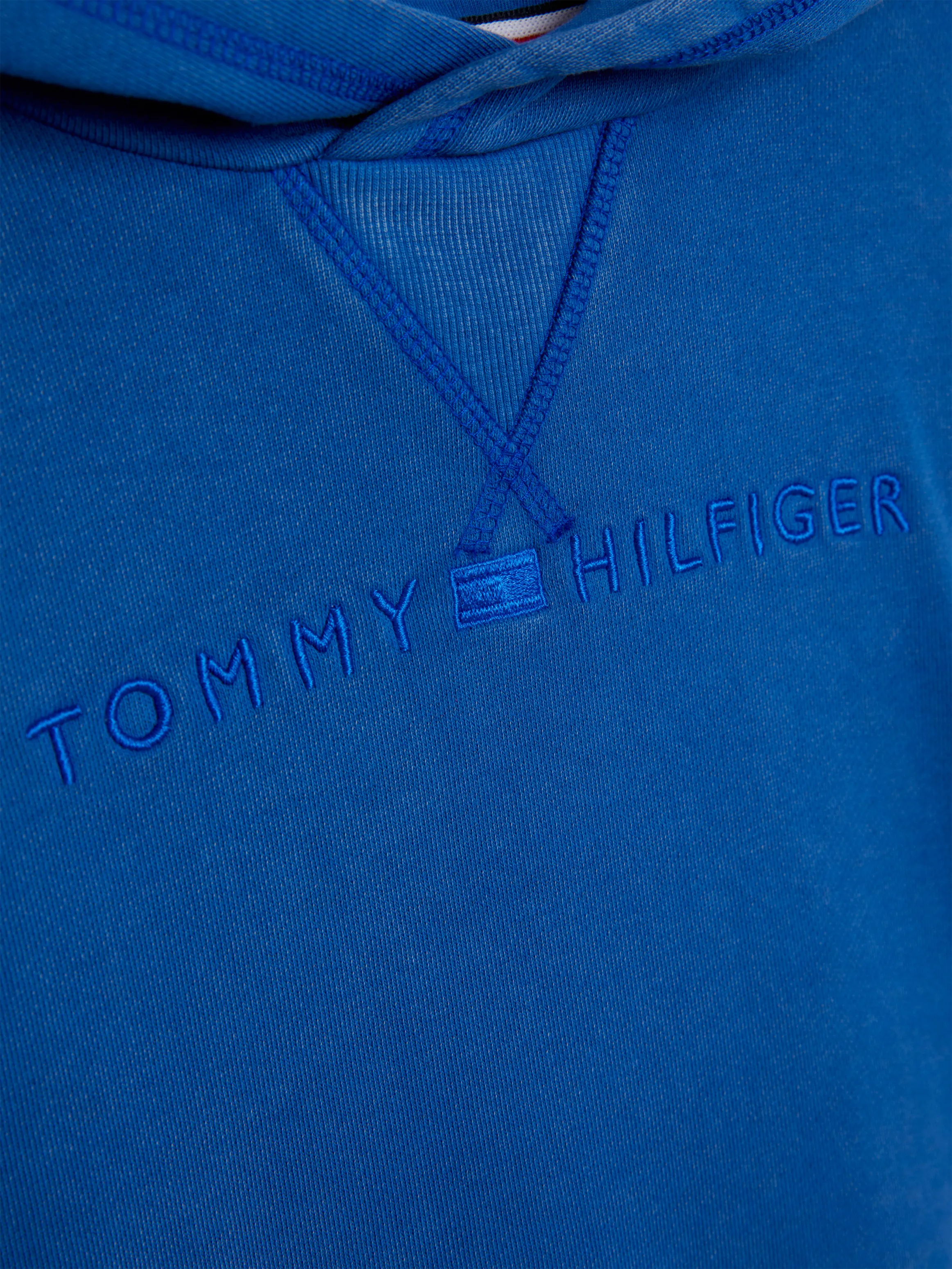 Boys 8-16 Tonal Logo Hoodie | Sweatshirts & Hoodies | Tommy Kids