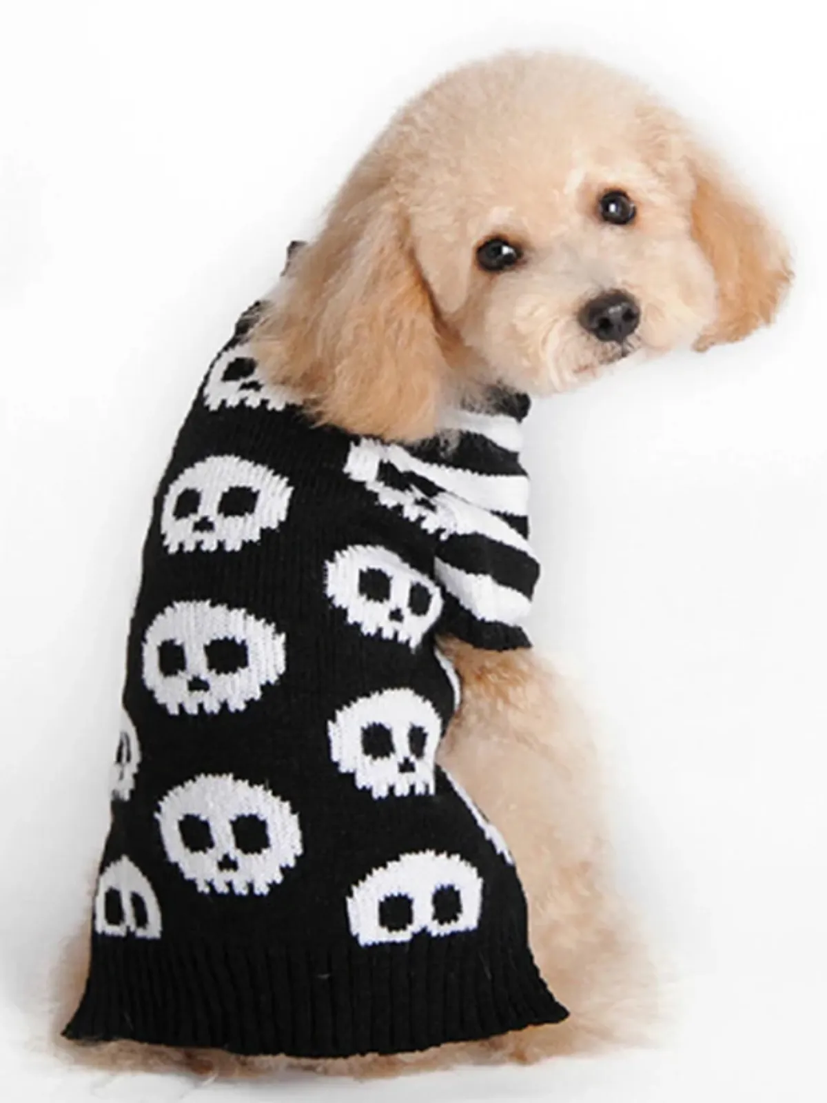 Dog Skull & Pumpkin Halloween Sweater Costume