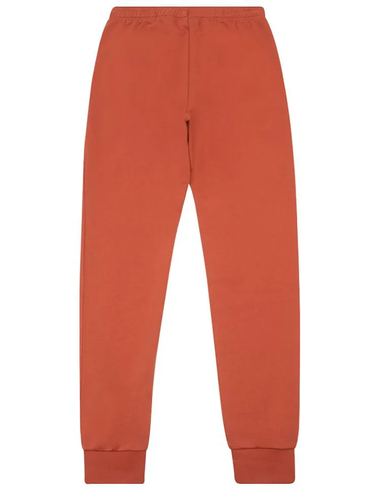 Lacoste classic sweatpants (Briquette)