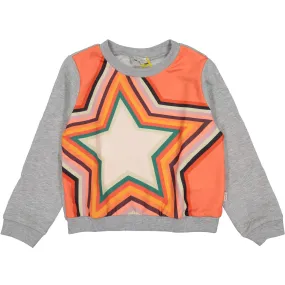 Paul Smith Junior Kids Artist Star Sweatshirts